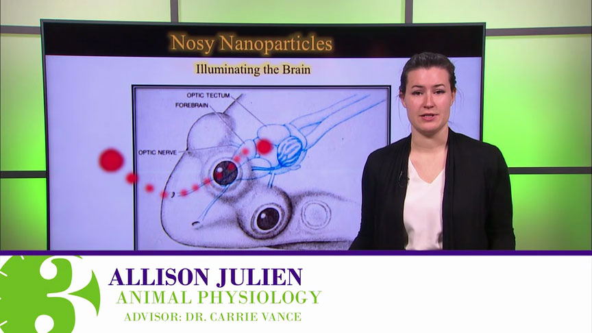 Allison Julien, PhD
