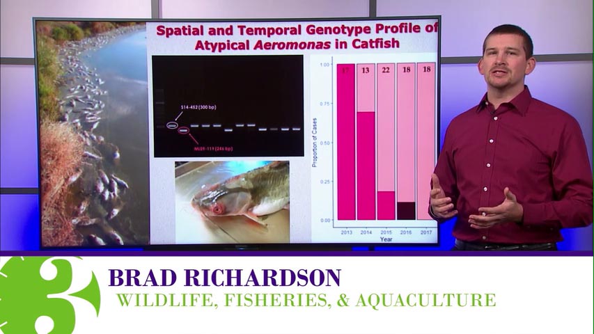 Brad Richardson, PhD