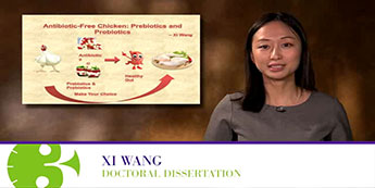 Xi Wang
