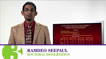 Ramdeo Seepaul