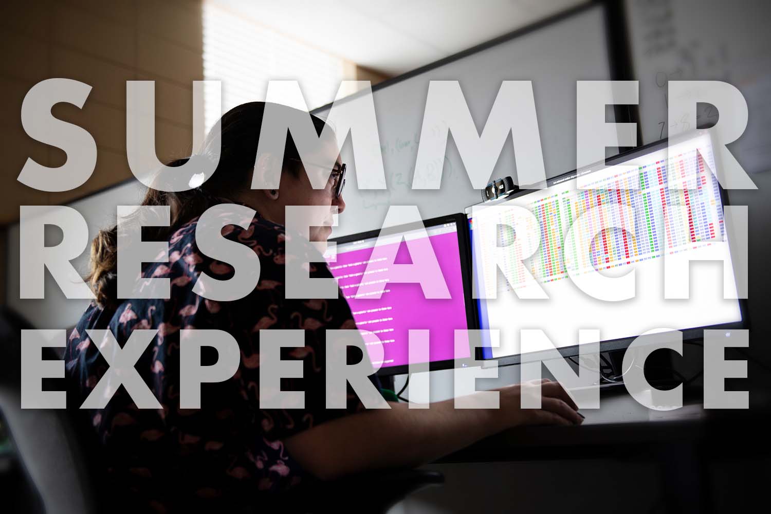 summer research experience