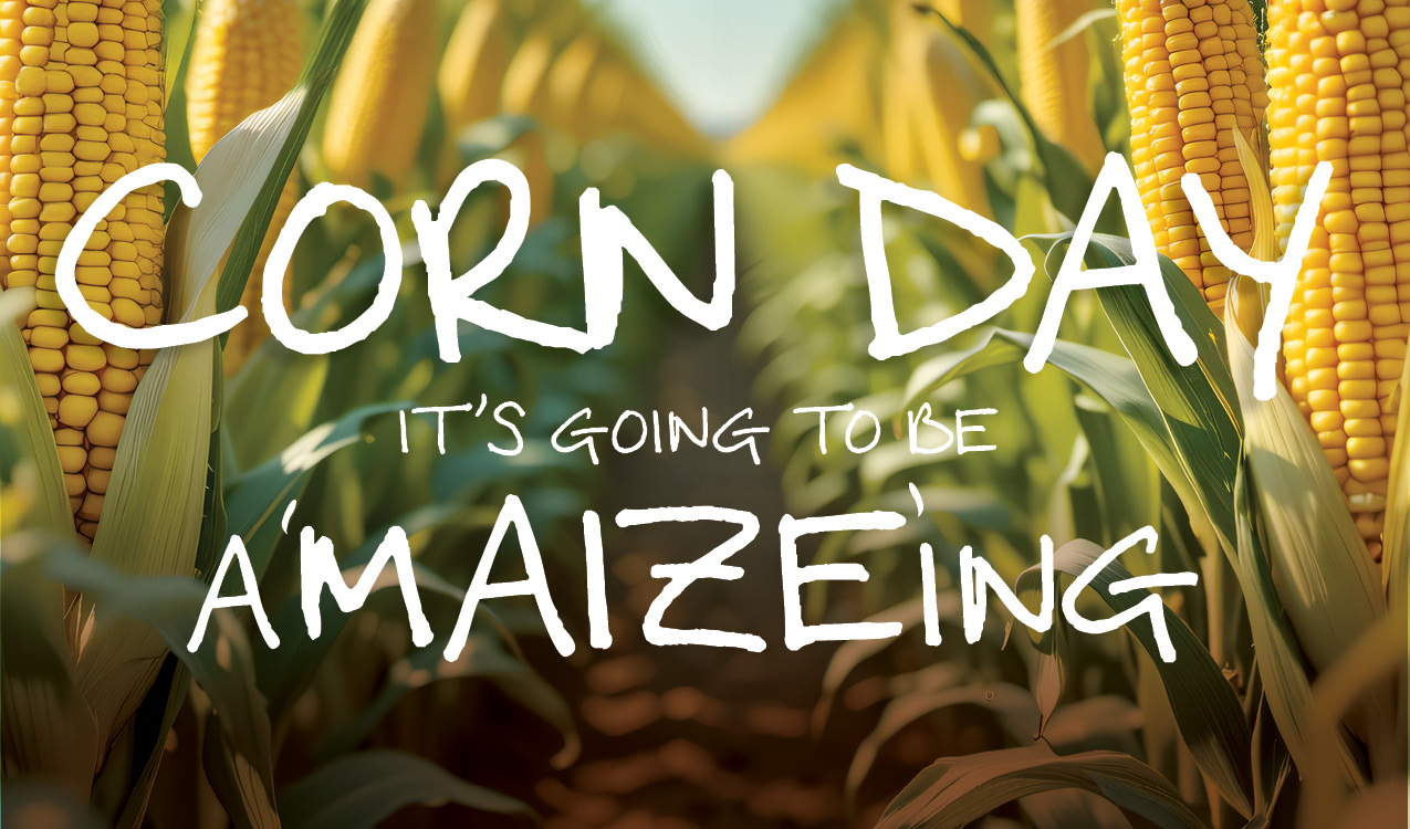 corn day
