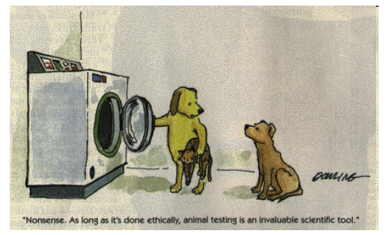 research ethics