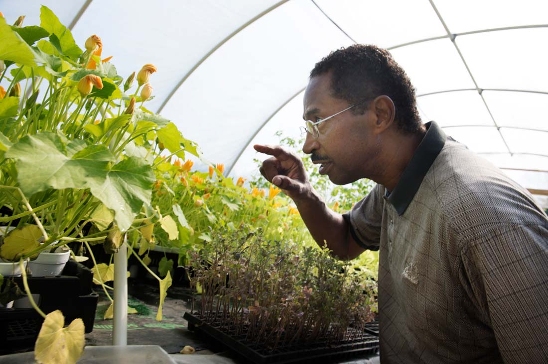 agriculture extension