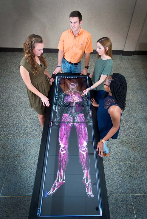 kinesiology