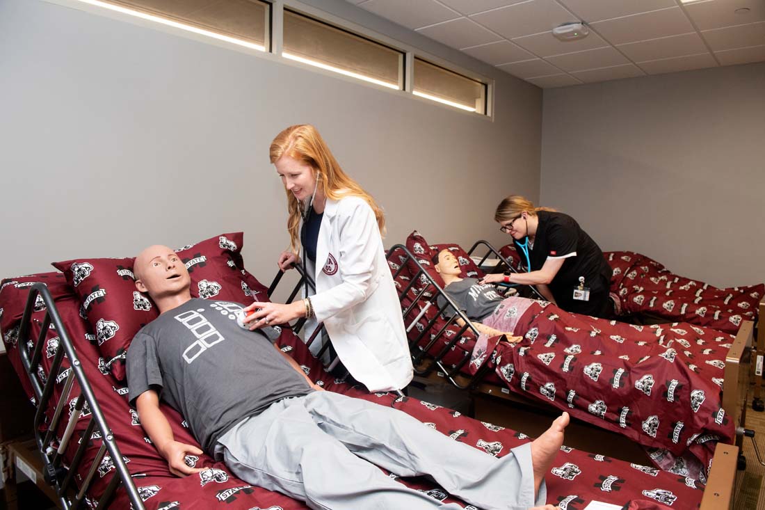 physician assistant studies