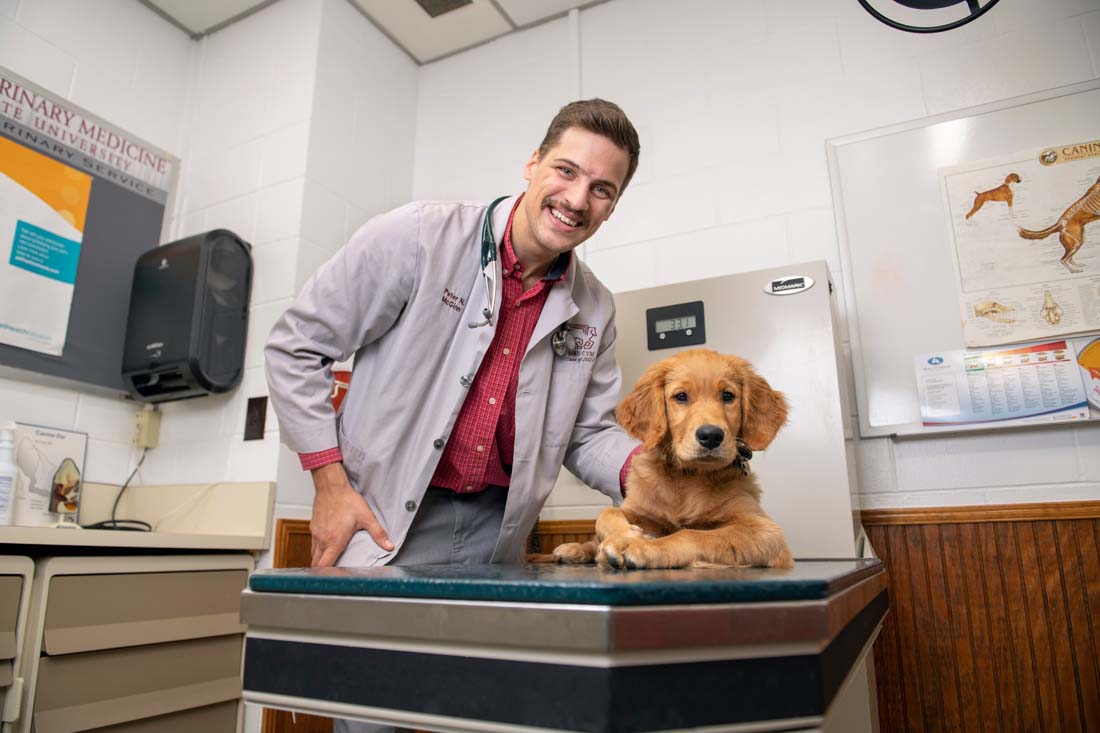 veterinary