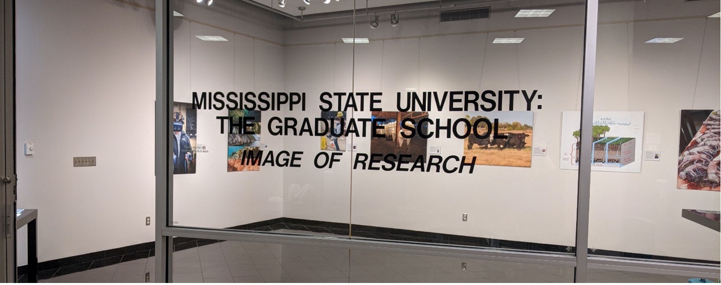 MSU Image of Research Gallery image