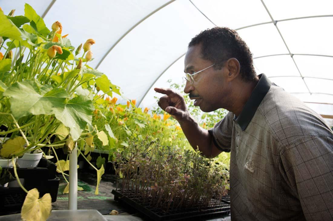 agriculture extension