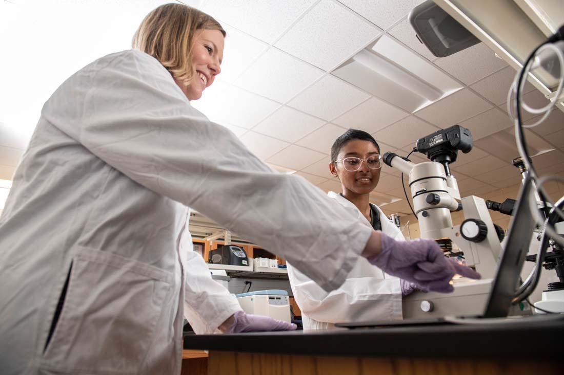 biological sciences
