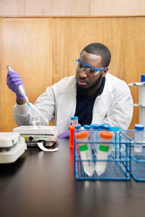 biomedical engineering