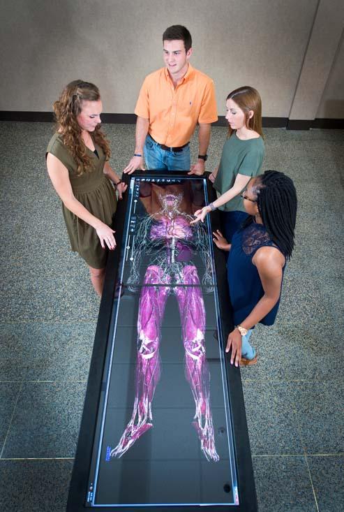 kinesiology